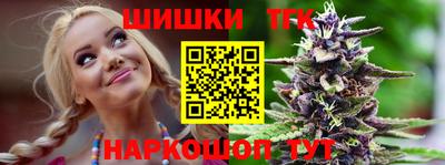 дурь Сланцы