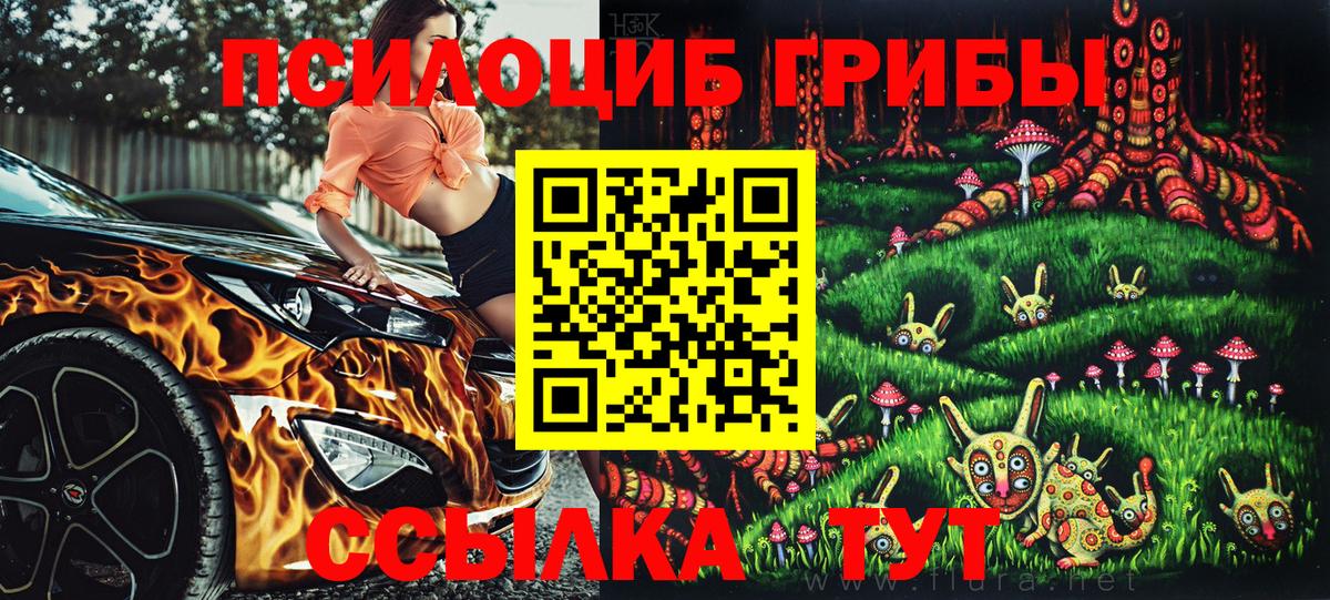 Новоалтайск  Галлюциногенные грибы MAGIC MUSHROOMS  Псилоцибиновые грибы Magic Shrooms  где купить наркоту  Вход с VPN 